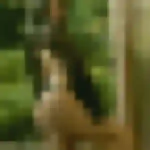 Bertille, 23 ans, en ligne à Thuir pour un plan cul