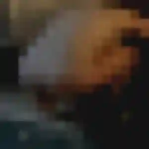 Nadine, femme de 43 ans cherche plan cul à Thun-l'Évêque