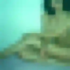 Photo privée de Coralie, 31 ans à Torcé - rencontre coquine