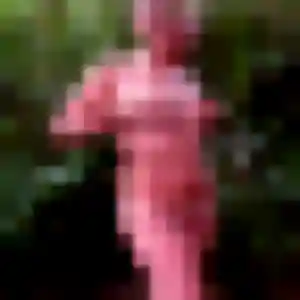 Photo exclusive de Rose-Marie, 34 ans à Torreilles - rencontre sans lendemain