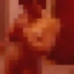 Photo de Leontine à Torteron (36 ans) - plan cul sans inscription