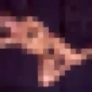 Gwendoline, 31 ans, connectée à Tracy-le-Val pour une rencontre coquine