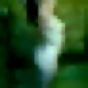 Alienor, 36 ans, disponible à Trébeurden pour une rencontre coquine
