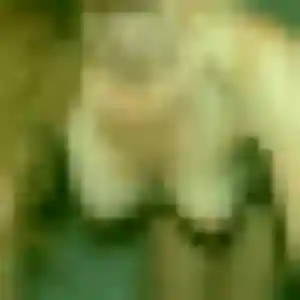 Fabienne, 43 ans, disponible à Trept pour un plan cul
