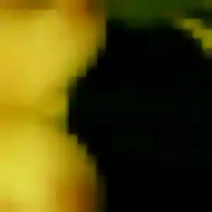Photo de Laetitia à Tressin (33 ans) - plan cul anonyme