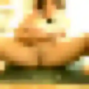 Photo sexy de Vanessa, 40 ans à Val-du-Layon - rencontre coquine
