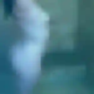 Fatima, 23 ans, en ligne à Valmont pour une rencontre coquine