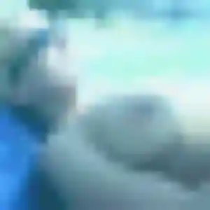 Belle Violette, 31 ans à Vandrimare - la contacter