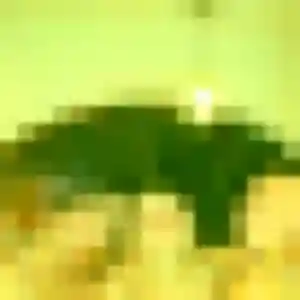 Madeleine, femme de 26 ans cherche plan cul à Vannes-sur-Cosson