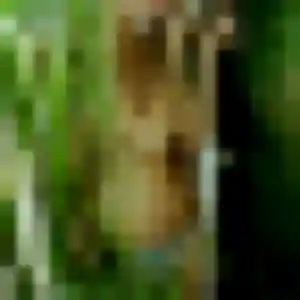 Photo exclusive de Naomi, 29 ans à Varenne-Saint-Germain - plan discret