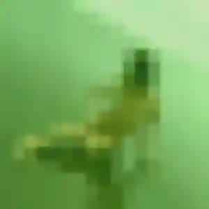 Profil de Bernadette à Vaulx-Milieu (32 ans) - plan cul gratuit