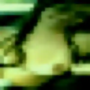 Daphne, 36 ans, en ligne à Vauvenargues pour une rencontre coquine
