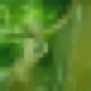 Severine, 28 ans, disponible à Veaugues pour une rencontre coquine