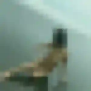 Découvre Marie-Louise, 26 ans à Veigy-Foncenex en privé