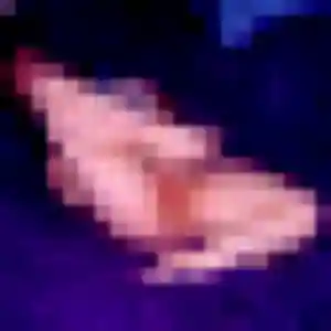 Photo de Elvire à Vendôme (36 ans) - plan cul sans inscription