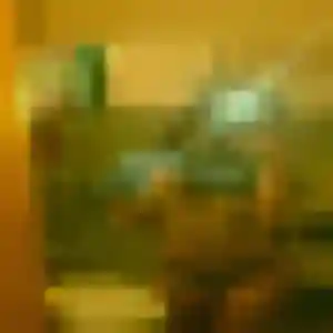 Sixtine, 37 ans, connectée à Vénéjan pour une rencontre coquine