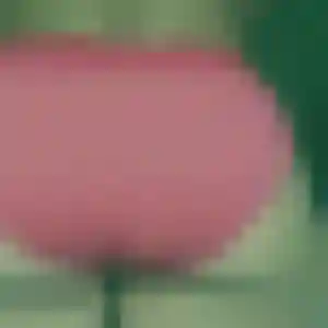 Photo exclusive de Sarah, 29 ans à Vert-le-Grand - rencontre coquine