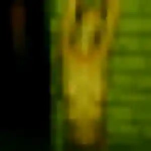 Photo perso de Ariane, 24 ans à Vesly - rencontre coquine