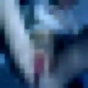 Photo perso de Brigitte, 23 ans à Veuzain-sur-Loire - rencontre sans lendemain
