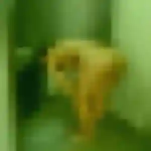 Anne, fille de 43 ans propose plan cul à Vézelin-sur-Loire