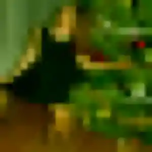 Photo de Jessica à Vias (25 ans) - plan cul anonyme