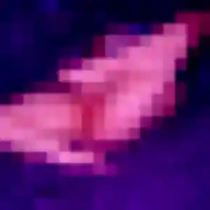 Christelle, 28 ans, connectée à Vieux-Berquin pour une rencontre coquine