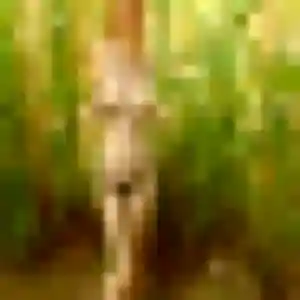 Xena de Ville-Saint-Jacques, 32 ans - plan cul sans lendemain