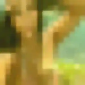 Jolie Ketty, 39 ans à Villedoux - voir sa photo