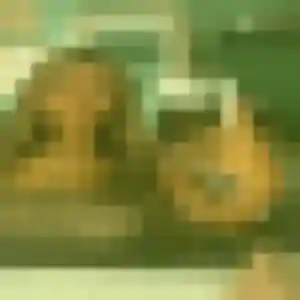plan cul à Villefranche-de-Lonchat : profil de Martine, 43 ans - inscription gratuite