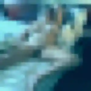 Photo de Ambre à Villefranche-sur-Cher (36 ans) - plan cul anonyme