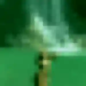 plan cul à Villemoyenne : photo de Fanny, 45 ans - sans engagement
