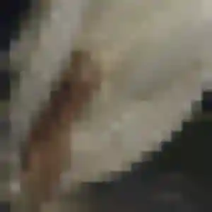 Iseult, femme de 44 ans cherche plan cul à Villers-Bocage