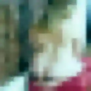 Photo de Bertille à Villersexel (44 ans) - plan cul gratuit
