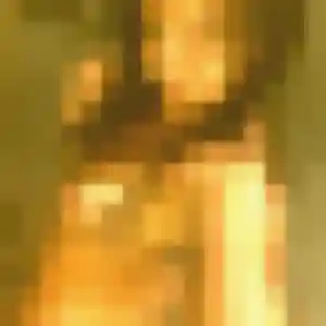 Photo de Djamila à Villette-de-Vienne (45 ans) - plan cul anonyme