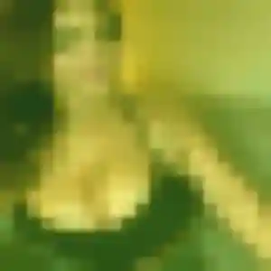 Photo exclusive de Harmony, 33 ans à Villiers-au-Bouin - rencontre coquine