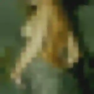 Jolie Gisele, 33 ans à Villy-le-Pelloux - la contacter
