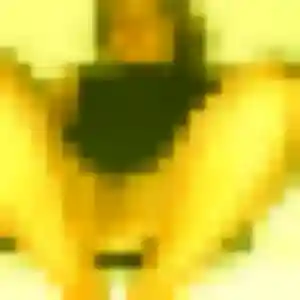Photo de Cecile à Vinzier (37 ans) - plan cul gratuit