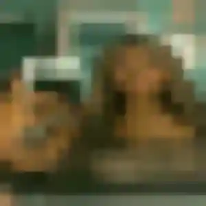 Photo de Ilona à Virson (40 ans) - plan cul discret