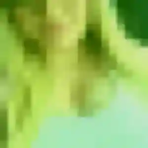 Sarah, femme de 37 ans veut plan cul à Vitry-sur-Orne