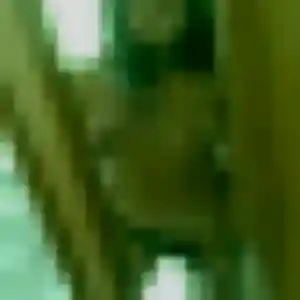Sabrina, 44 ans, dispo pour plan cul à Vogüé
