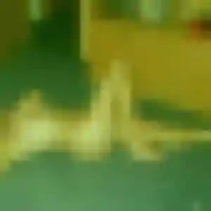 Photo de Ambre à Volvic (37 ans) - plan cul anonyme