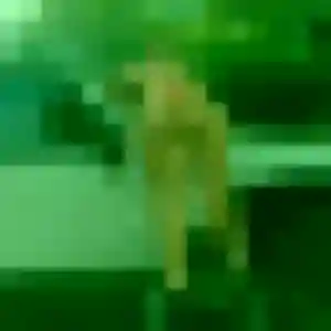 Profil de Odile à Voutré (42 ans) - plan cul gratuit