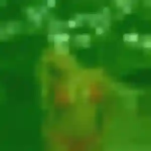 Découvre Theresa, 44 ans à Vouvant en privé
