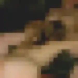 Contacte Emmanuelle, 37 ans à Wahagnies en t'inscrivant