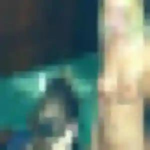 Faustine (28 ans) à Wailly-Beaucamp cherche une rencontre aujourd'hui