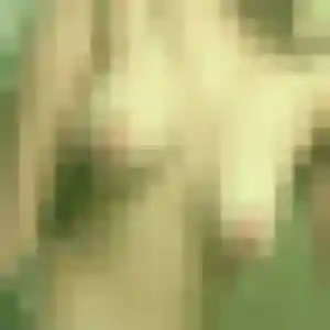 Natasha, femme de 25 ans veut plan cul à Walbourg