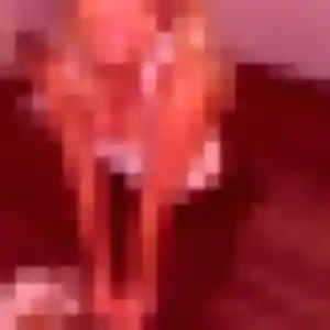 Jolie Celeste, 43 ans à Walincourt-Selvigny - voir sa photo