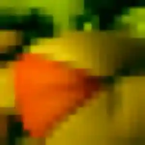 Nadia, 38 ans, dispo pour plan cul à Wambrechies