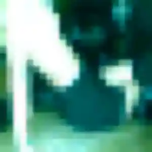 Photo privée de Joana, 33 ans à Wirwignes - rencontre coquine