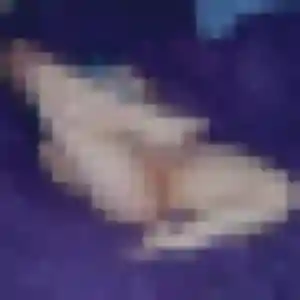 Orane, fille de 43 ans cherche plan cul à Witternesse